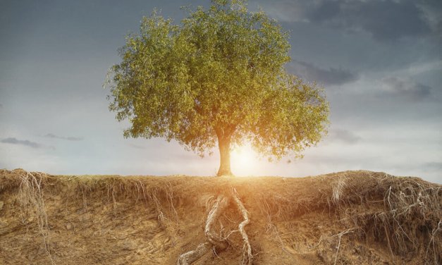 Docuseries: Immune for Life – The Root Causes of Everyday Disease