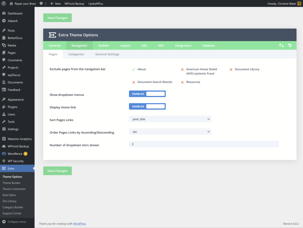 9/4/22 Extra Theme Options NAVIGATION - menu