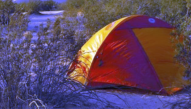 My golden years: living in the desert like Elliot