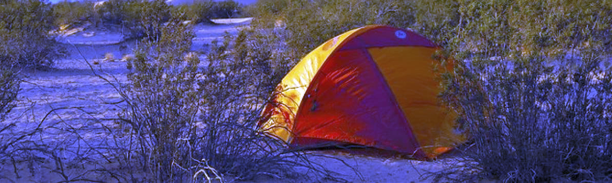 My golden years: living in the desert like Elliot