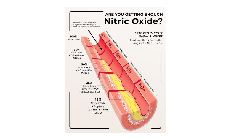 Nitric Oxide improves heart health — greens, beets, exercise and tape mouth to sleep
